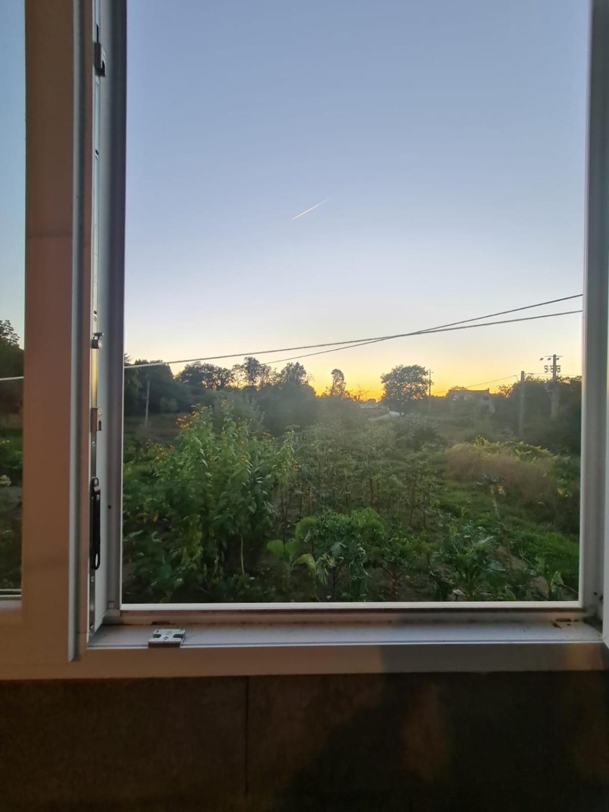Apartamento T2 Zona Rural Vila Nova de Paiva 外观 照片
